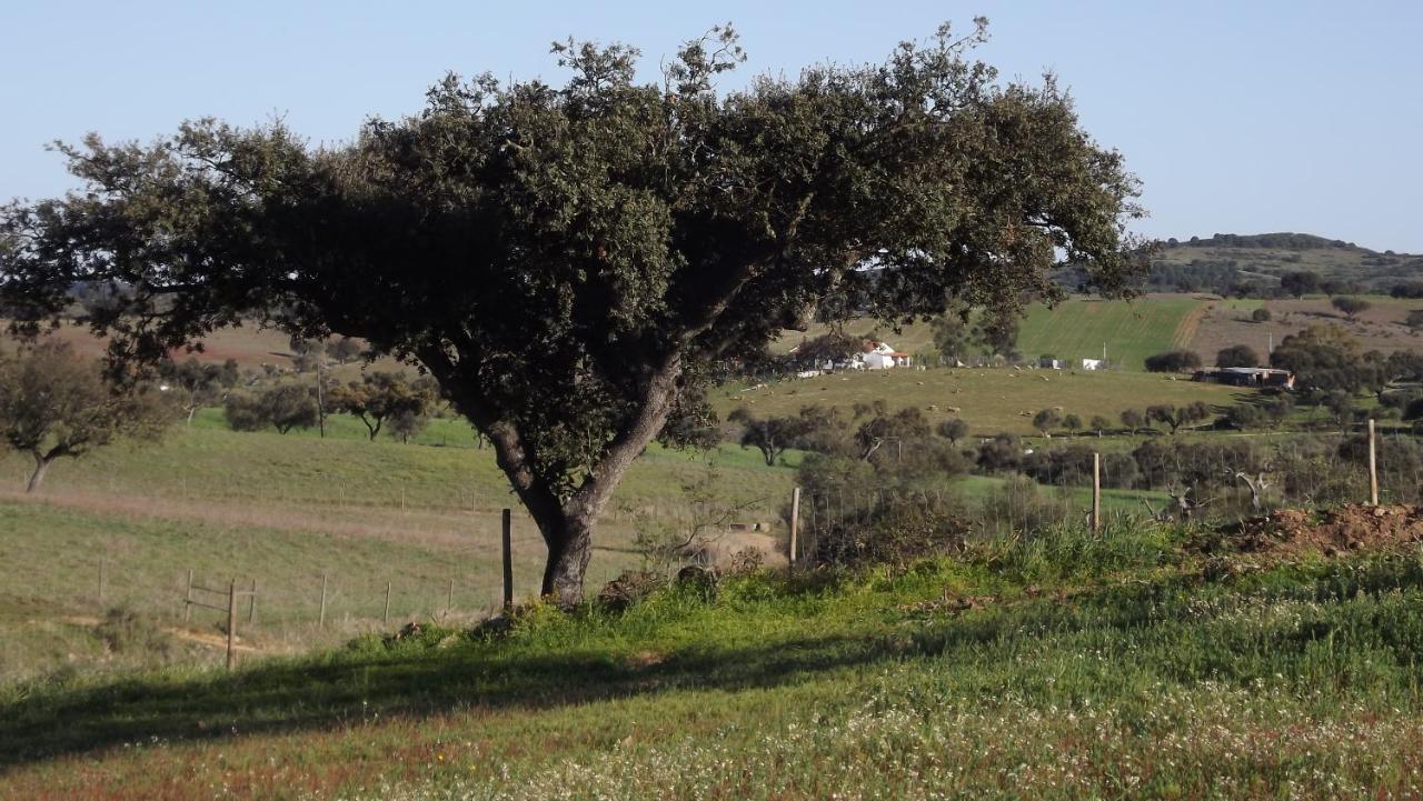 São Pedro do Corval Casa Do Compadre - Casas De Taipa 빌라 객실 사진